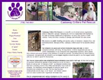 Web Design by Janice Boling